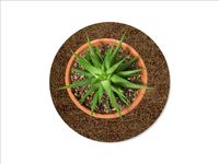 Keilbach Blumentopf Unterlage, ⌀ 34,0 cm, braun