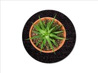 Keilbach Blumentopf Unterlage, ⌀ 34,0 cm, schwarz