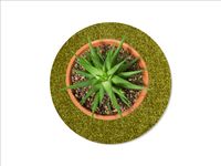 Keilbach Blumentopf Unterlage, ⌀ 25,0 cm, grün