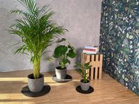 Keilbach Blumentopf Unterlage, ⌀ 25,0 cm, braun
