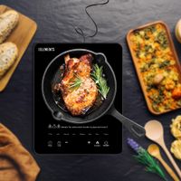 ELK101P Induktionskochplatte 2000 Watt, LED Display, Timer
