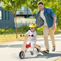 2 in 1 umwandelbarer Kinderroller