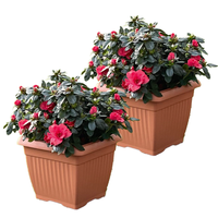 Powertec Garden Pflanztopf "Lucca" - 2er-Set, Terrakotta, je ca. 24 x 24 x 20 cm, Eckig