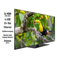 LT-65VU6355 65 Zoll Fernseher / Smart TV (4K UHD, HDR Dolby Vision, Triple-Tuner, Dolby Atmos)