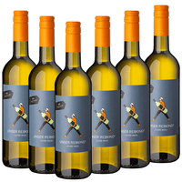 Vinitiative " Unser Rebkind " Cuvee weiß QbA 0,75L  - 6er Karton