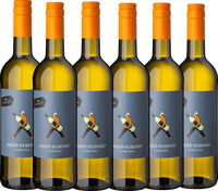 Vinitiative " Unser Rebkind " Cuvee weiß QbA 0,75L  - 6er Karton