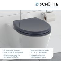 Duroplast WC Sitz ANTHRAZIT mit Absenkautomatik,Schnellverschluss