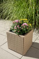Blumentopf Rattan Optik mit Plastiktöpfen quadratisch