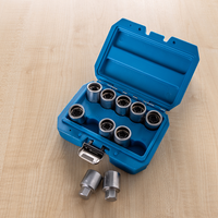 10-teiliges Tesla-Medaillon-Steckschlüssel-Set