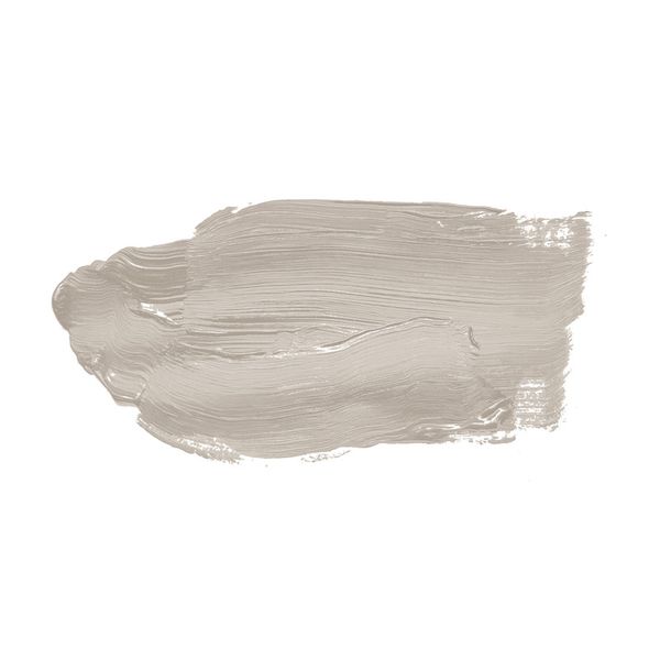 A.S. Création - Wandfarbe Taupe "Oyster Mushroom" 5L