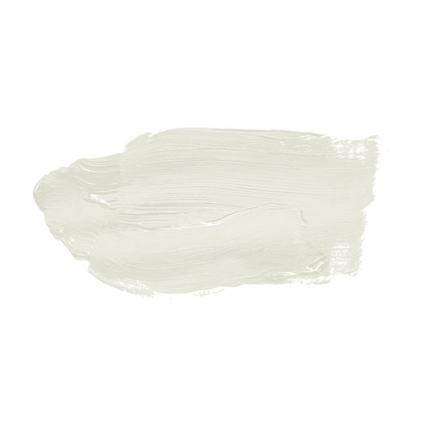 A.S. Création - Wandfarbe Creme "Shady Sugar" 5L