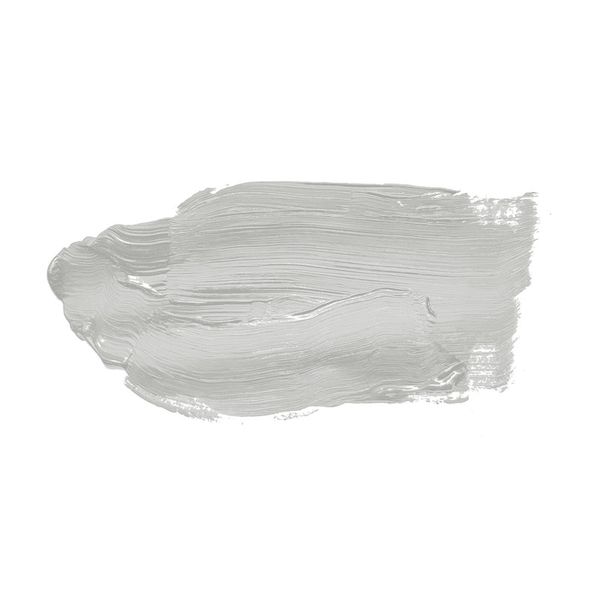 A.S. Création - Wandfarbe Grau "Pure Pitaya" 2,5L