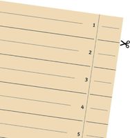 100 Trennblätter 80001845 DIN-A4, 24x30cm, lochverstärkt, 180g/m² Karton, chamois
