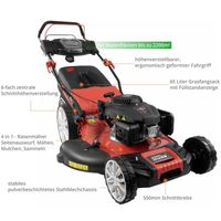 Benzin Rasenmäher BIG WHEELER 554.3 R