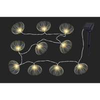 Solar-Lichterkette 10er "Dandelion"
