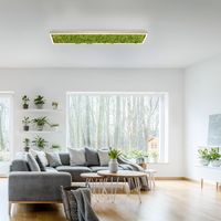 LED Deckenleuchte GREEN KNUT, mit echtem Moos, dimmbar, 3000 K