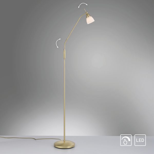 LED Stehleuchte PINO, 1xG9/2,60Watt, 3000 Kelvin, IP20, Messing matt