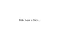 Interline Stahlwandpool "Diana" Rund 5,50 m, Tiefe 1,32 m (Premium Set)