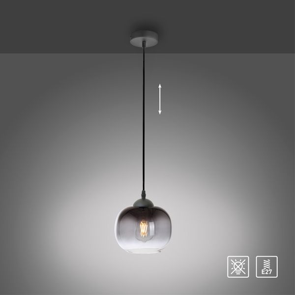 Pendelleuchte ZEA, 1x E27/25 Watt max., Glas in Rauchfarben, Schwarz