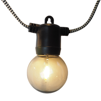 LED-Außenlichterkette braun