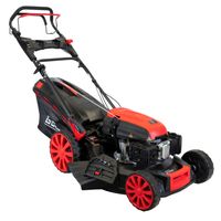 Rasenmäher BIG WHEELER 534.1 R ES