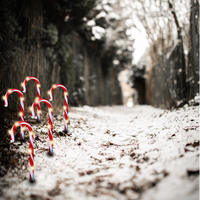 LED-Leuchtstab 5er-Set - Zuckerstange