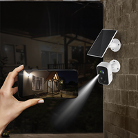 Solar Outdoor IP-Kamera TX-244