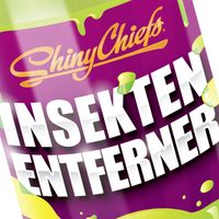 INSEKTENENTFERNER - Auto Insektenreiniger 500ml