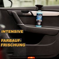 PLASTO COAT - INNENRAUMPFLEGE seidenmatte Farbauffrischung für den Auto-Innenraum 500ml