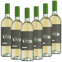 Grüner Veltliner QUW Selection Österreich Niederösterreich - 6er Karton