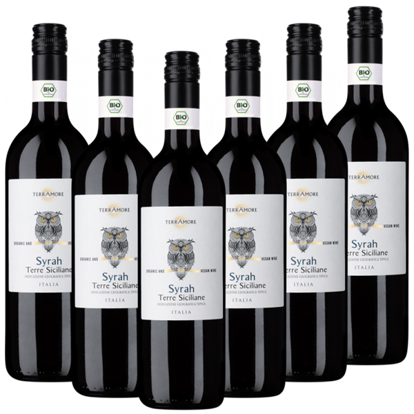 Bio-Syrah Terre Siciliane IGT TerrAmore Italien  trocken - 6er Karton