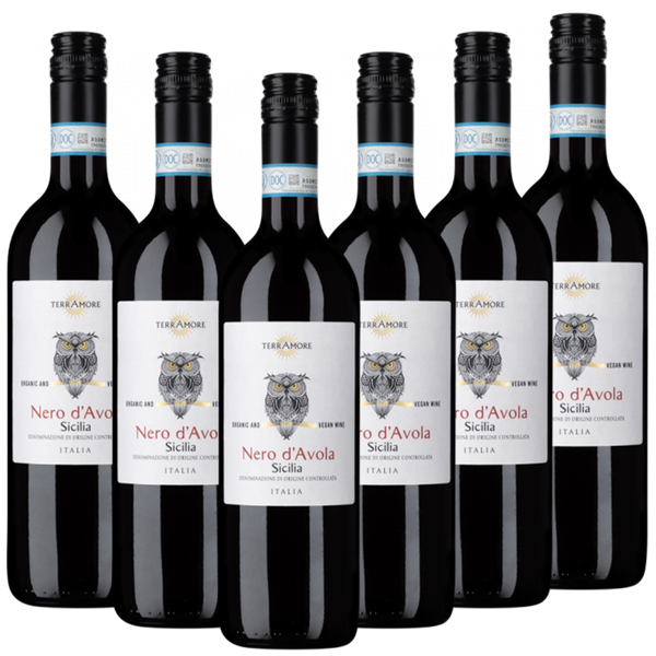 Bio-Nero d Avola Sicilia DOC TerrAmore Italien  trocken - 6er Karton