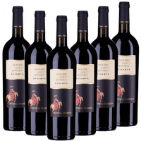 Molise Rosso DOC Riserva Contessa Marina  trocken - 6er Karton