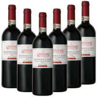 Barbera d&#039;Asti Superiore DOCG Italien trocken