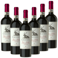 Vino Nobile di Montepulciano DOCG Cacciata Italien trocken
