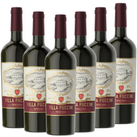 Toscana Rosso IGT Villa Puccini Italien  trocken - 6er Karton