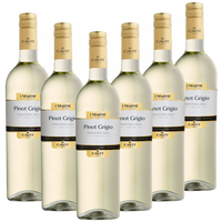 Pinot Grigio Italieno DOC "Mastri Vernacoli" Italien trocken