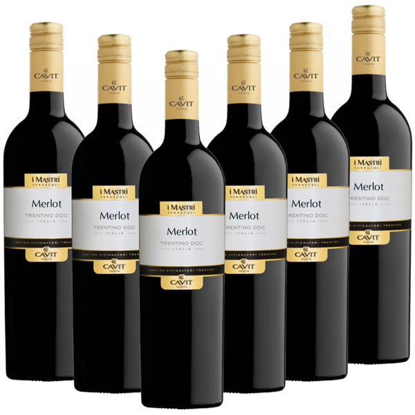 Merlot Italieno DOC Mastri Vernacoli Italien trocken