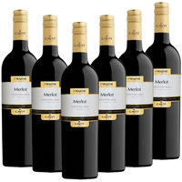 Merlot Italieno DOC Mastri Vernacoli Italien trocken