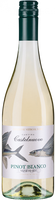 Pinot Bianco Veneto IGT - Edizione Viticoltore Italien  trocken - 6er Karton