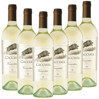 Vermentino di Toscana IGT Cacciata Italien  trocken - 6er Karton
