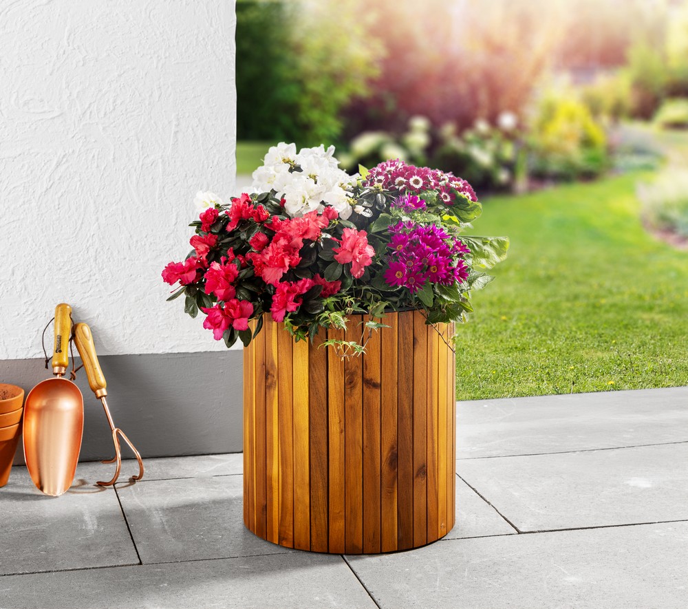 Miniaturansicht des Produkts