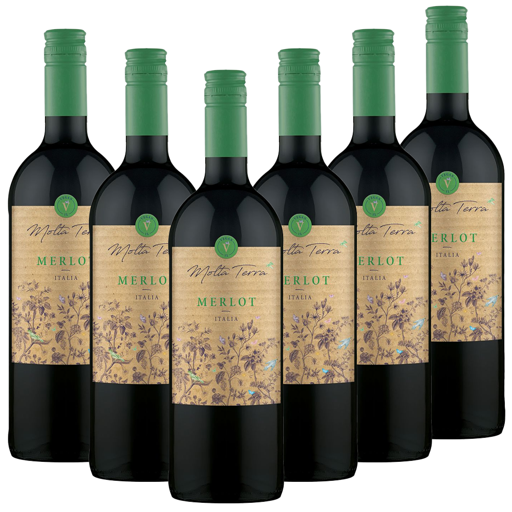 Merlot halbtrocken 1l Molta Terra Norma24 DE