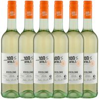 FÜR MICH 100% PFALZ RIESLING TROCKEN 2023 | 0,75 l