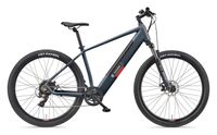 MTB E-Bike Herren Mountainbike M921 29 Zoll Hinterradmotor 7-Gang Kettenschaltung