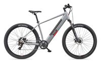 MTB E-Bike Herren Mountainbike M921 29 Zoll Hinterradmotor 7-Gang Kettenschaltung