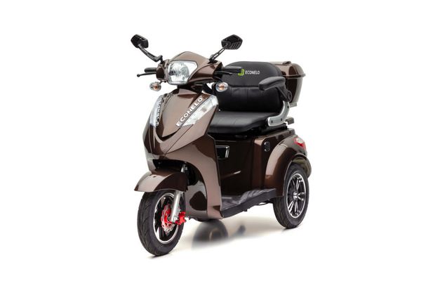 S1000 - 25 KM/H Lithium Braun