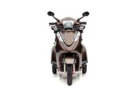 S1000 - 25 KM/H Lithium Braun