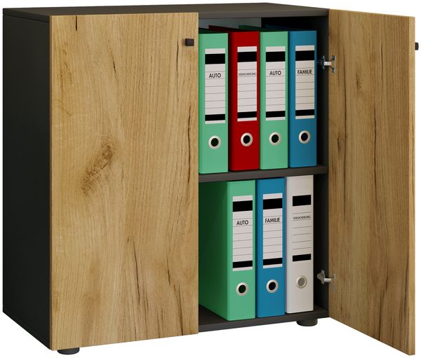 Büroschrank Bücher Ordner Aktenschrank "Lona" 2-fach Drehtüren Anthrazit/Honig-Eiche