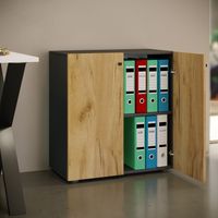 Büroschrank Bücher Ordner Aktenschrank "Lona" 2-fach Drehtüren Anthrazit/Honig-Eiche
